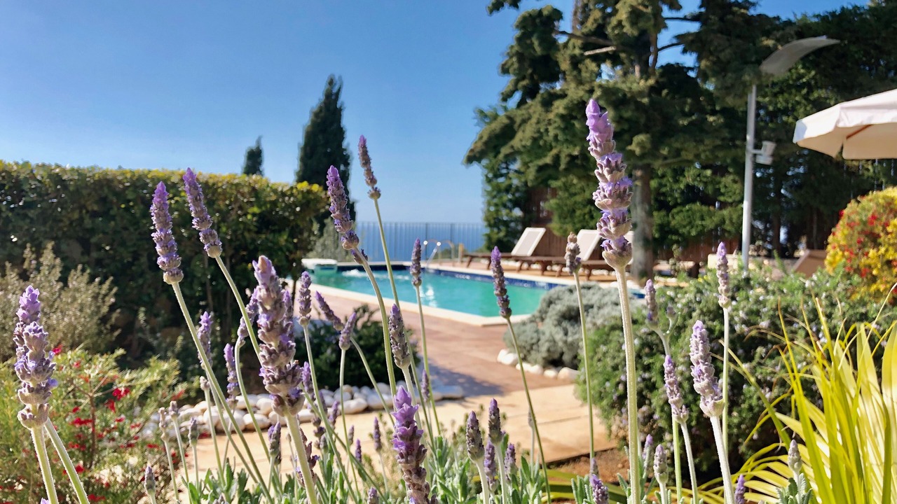 Photo of Outdoor in Erisos