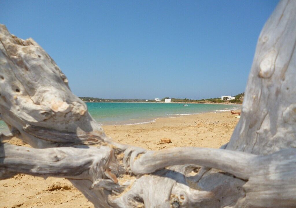Photo of Others in Paros