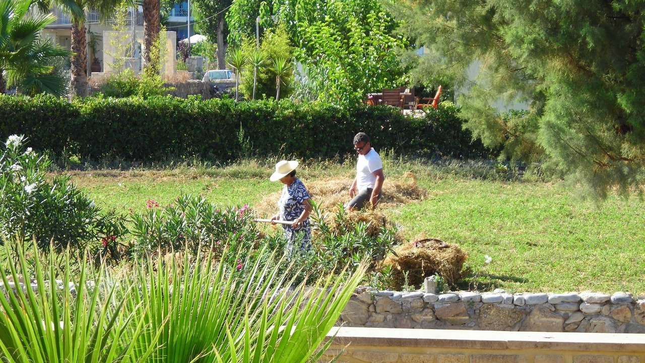Photo of Others in Nopigia
