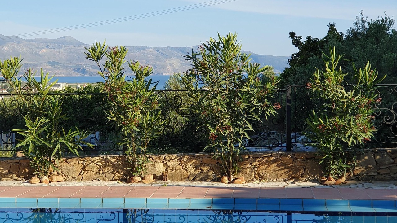 Photo of Outdoor in Platanias