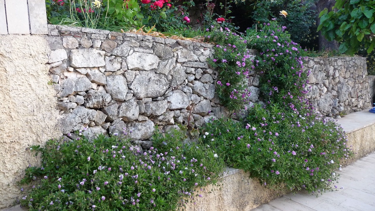 Photo of Outdoor in Makhairoi