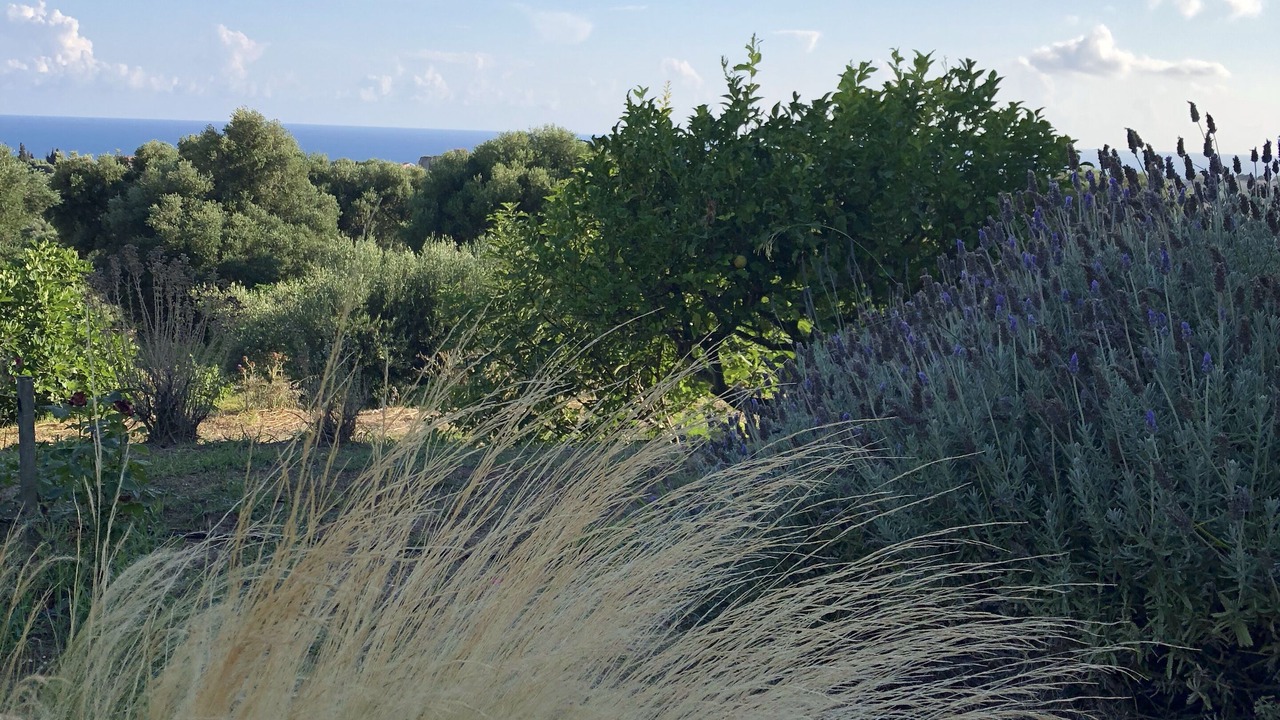 Photo of Outdoor in Kaligata
