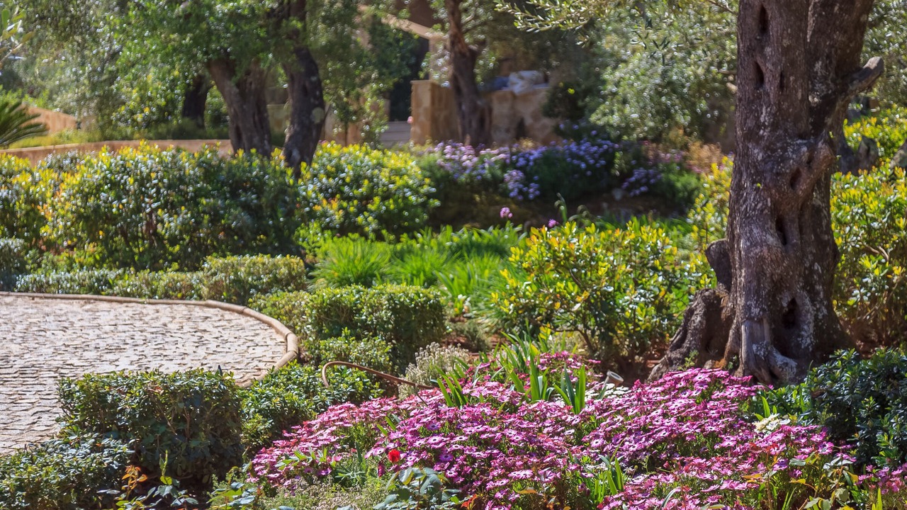 Photo of Outdoor in Agia Pelagia Chlomou
