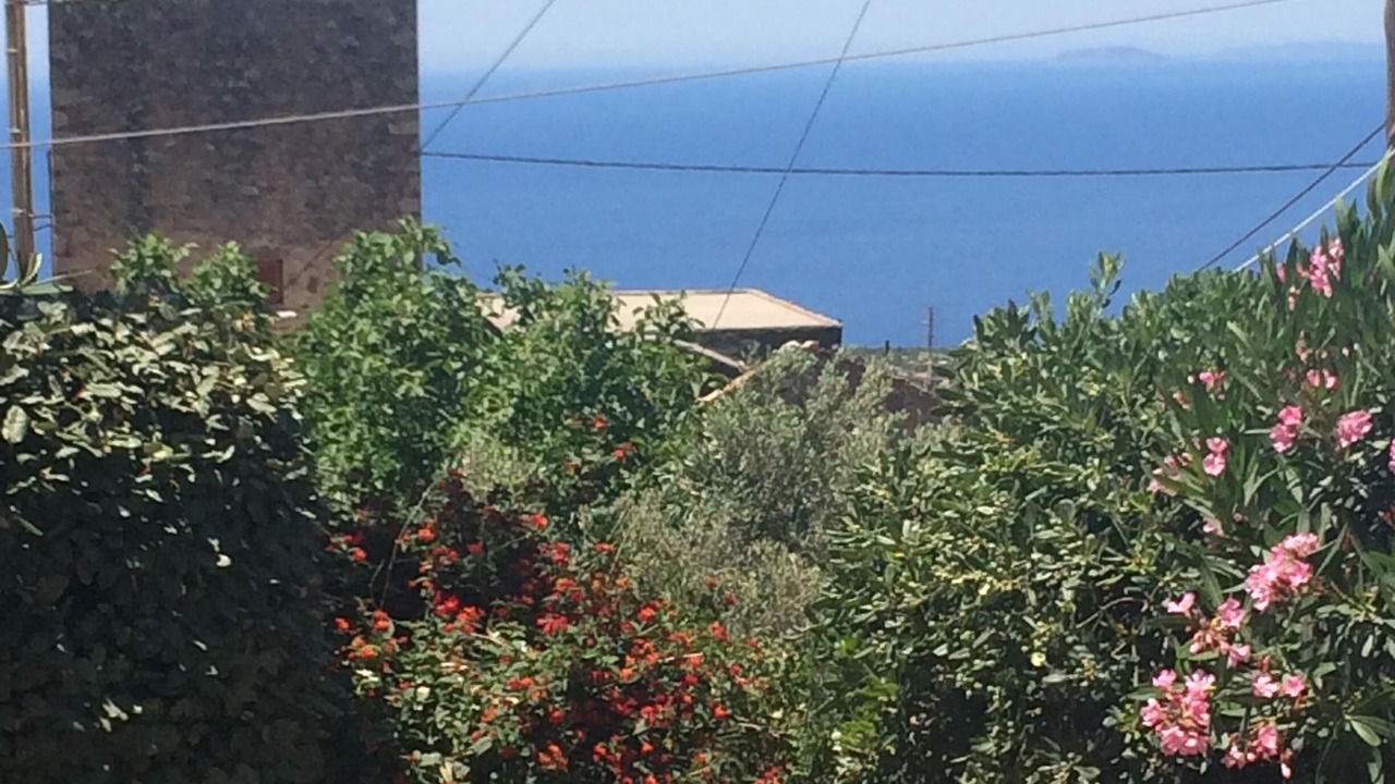 Photo of Others in Areopoli