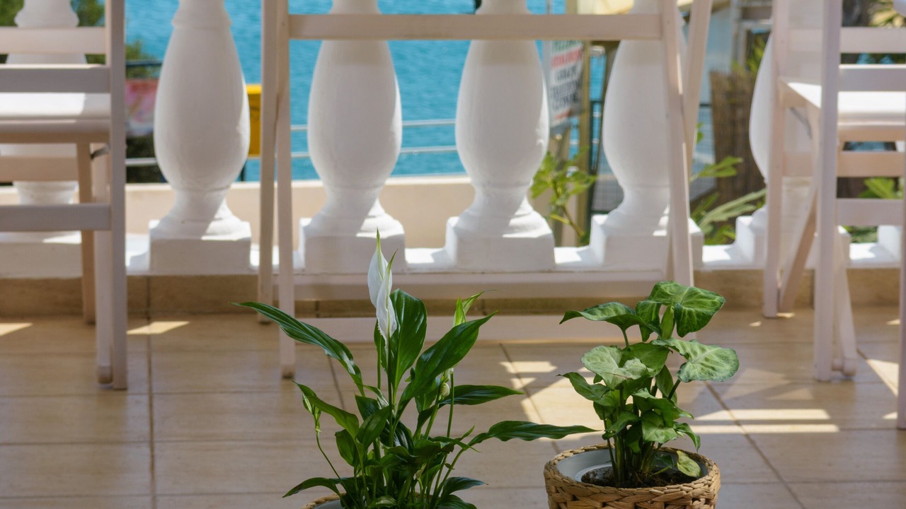 Photo of Outdoor in Agios Nikolaos