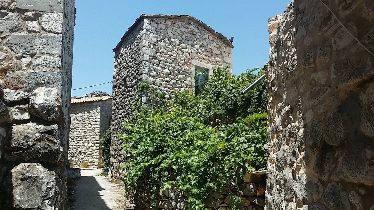 Photo of Outdoor in Layia