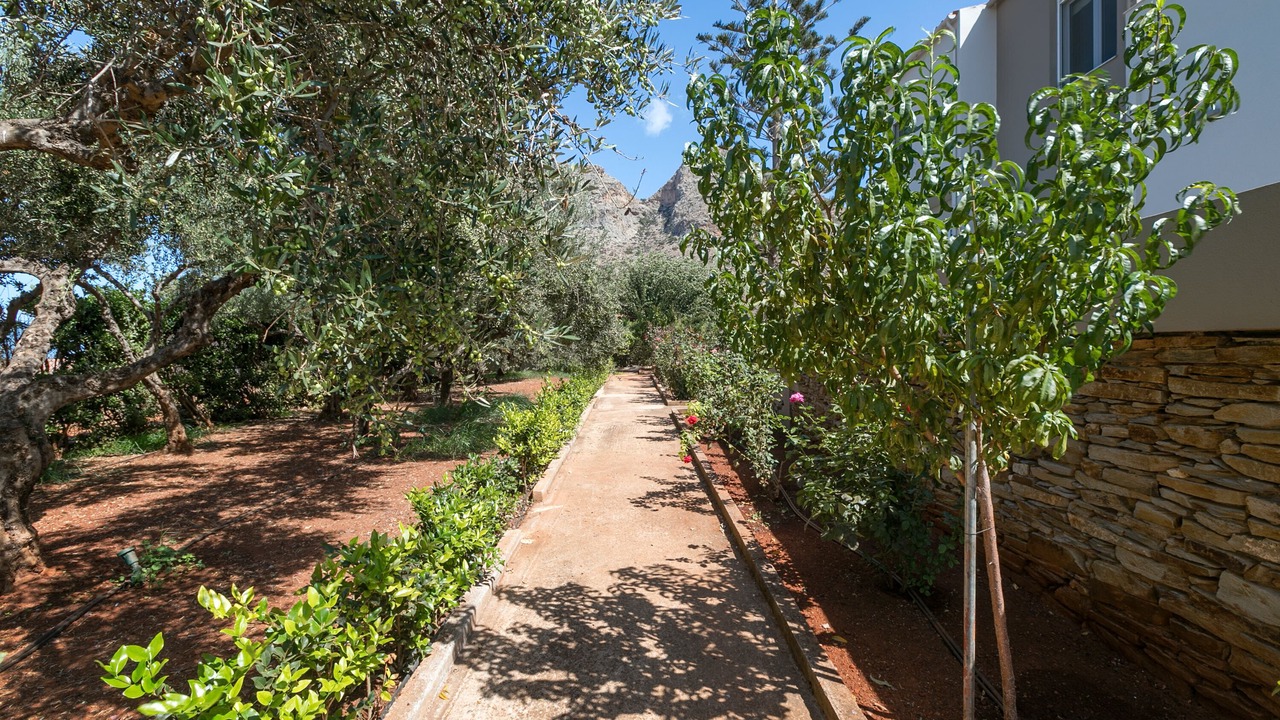 Photo of Outdoor in Stavros