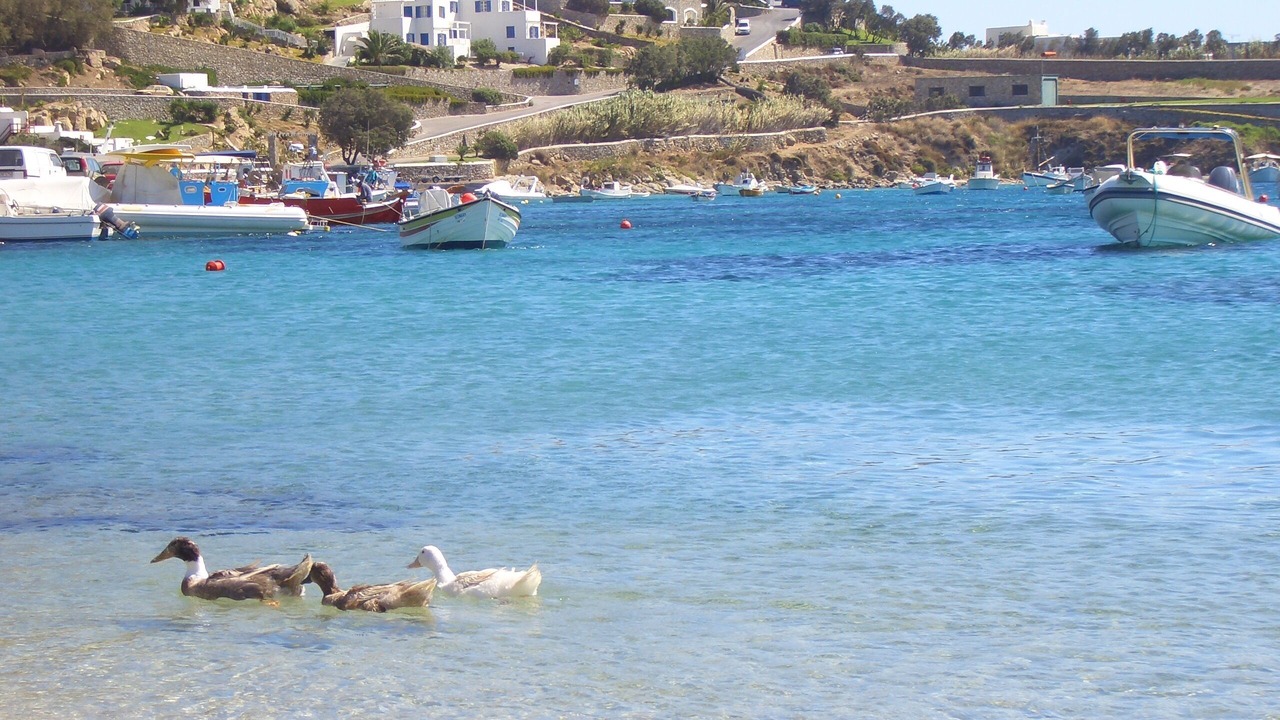 Photo of Others in Ornos