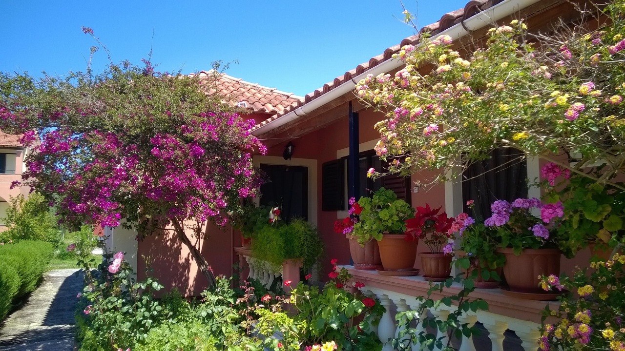 Photo of Outdoor in Molos