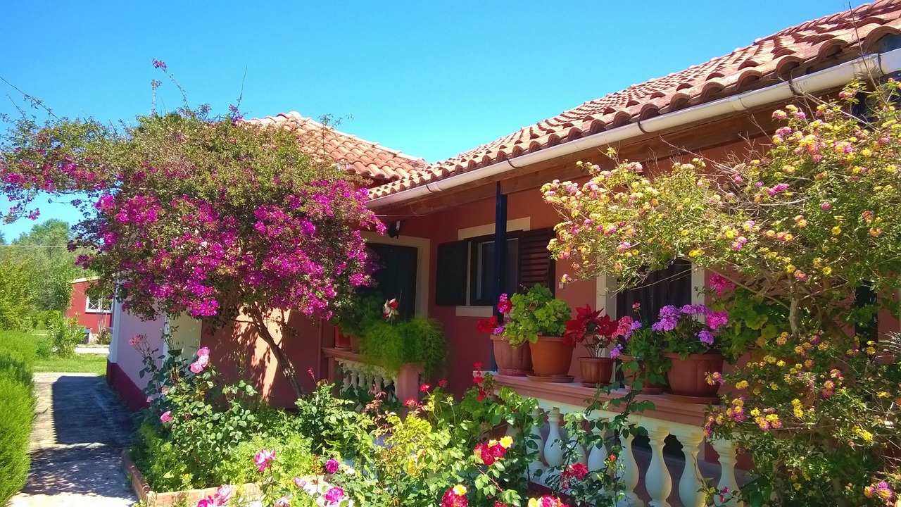 Photo of Outdoor in Molos