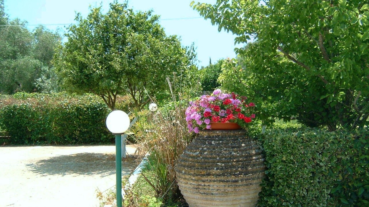 Photo of Outdoor in Molos