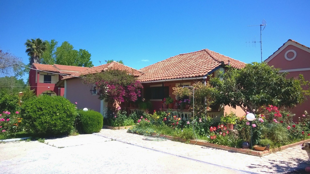 Photo of Outdoor in Molos