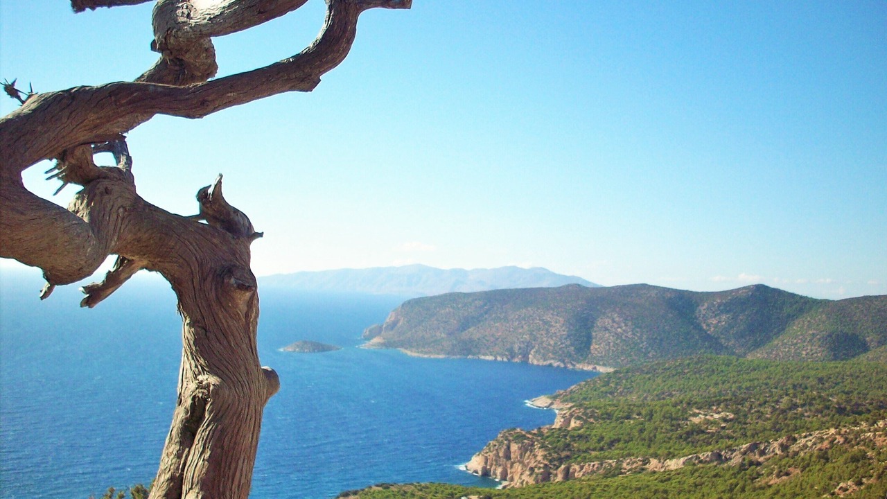 Photo of Others in Kalathos
