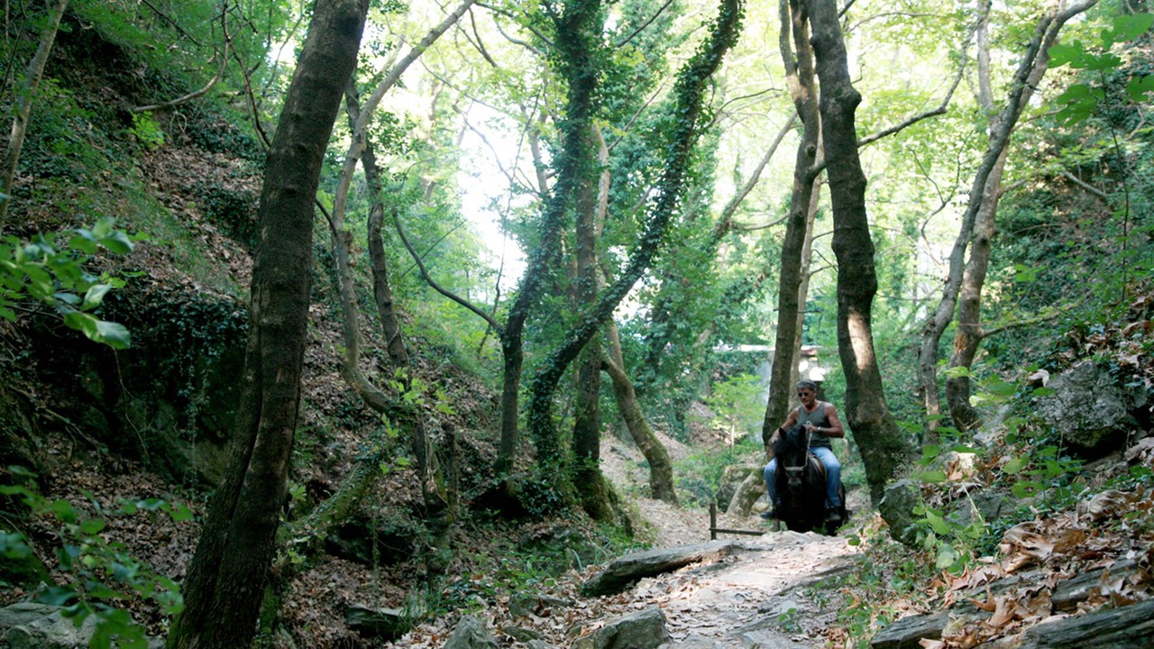 Photo of Outdoor in Makrynitsa