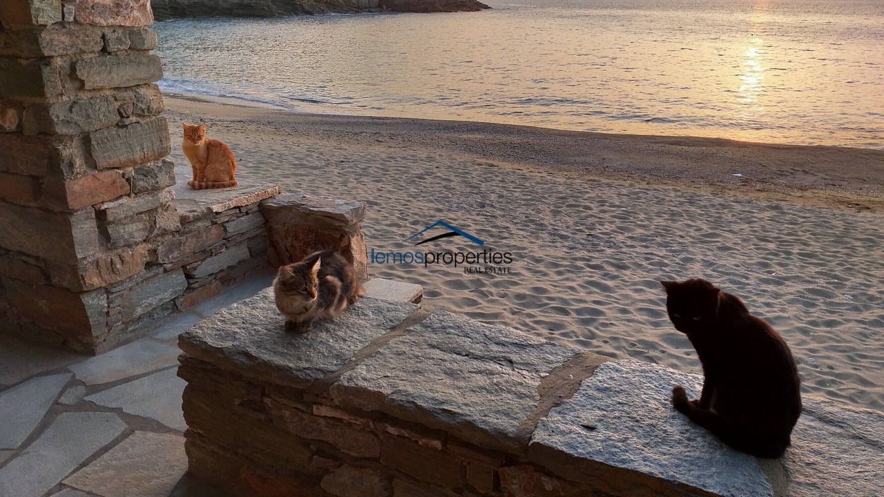 Photo of Others in Kea