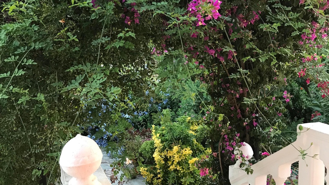 Photo of Outdoor in Katastari