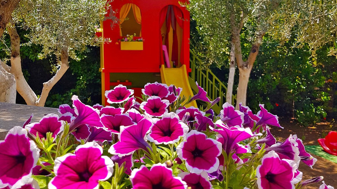 Photo of Outdoor in Prines