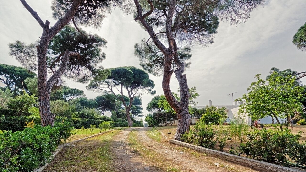 Photo of Outdoor in Schinias