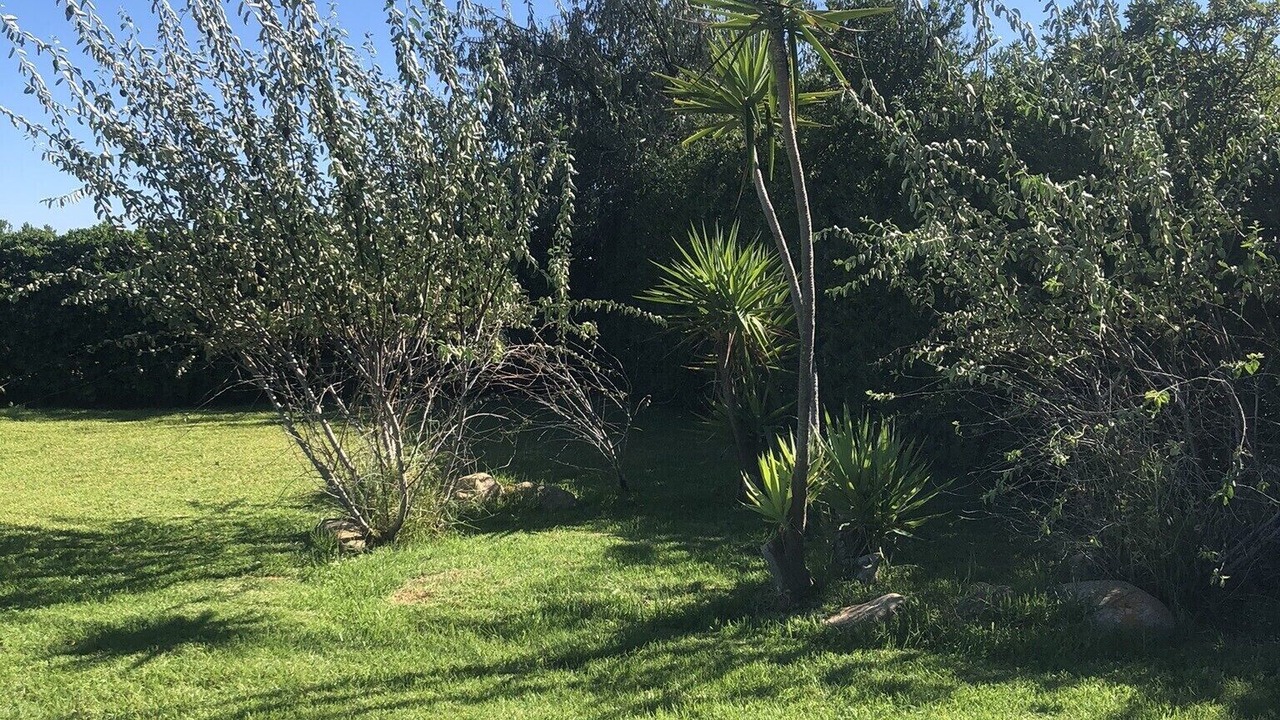 Photo of Outdoor in Schinias