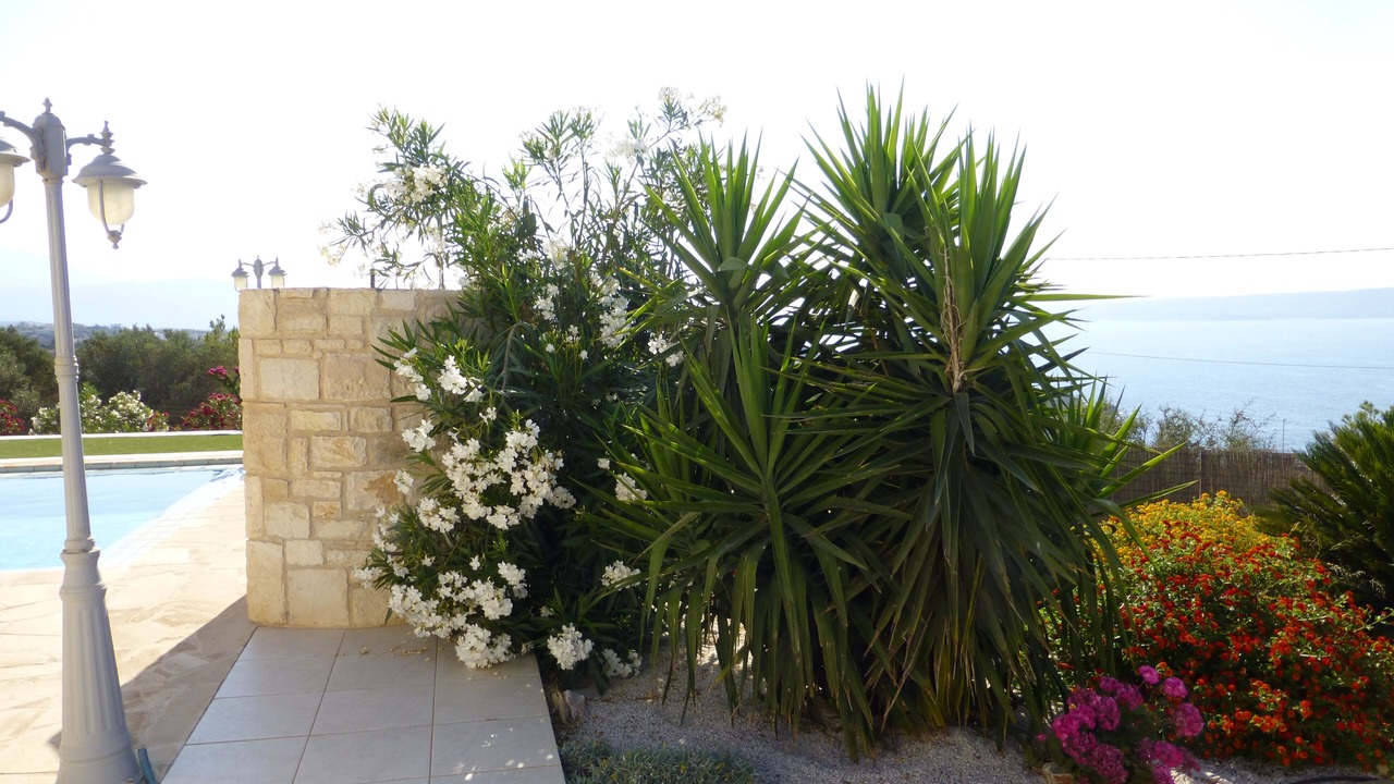 Photo of Outdoor in Apokoronas