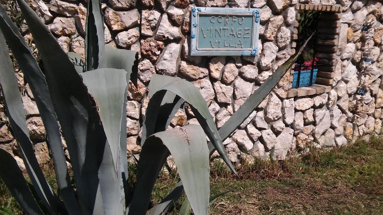 Photo of Outdoor in Giannades