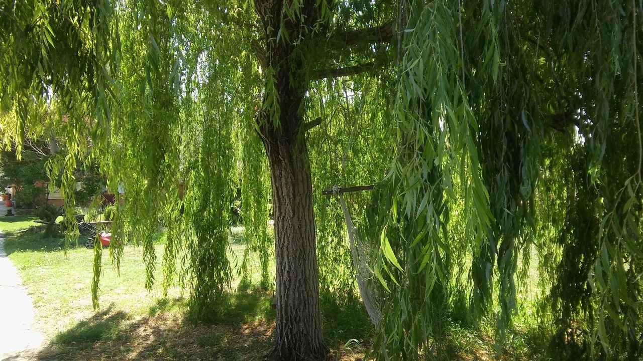 Photo of Outdoor in Giannades