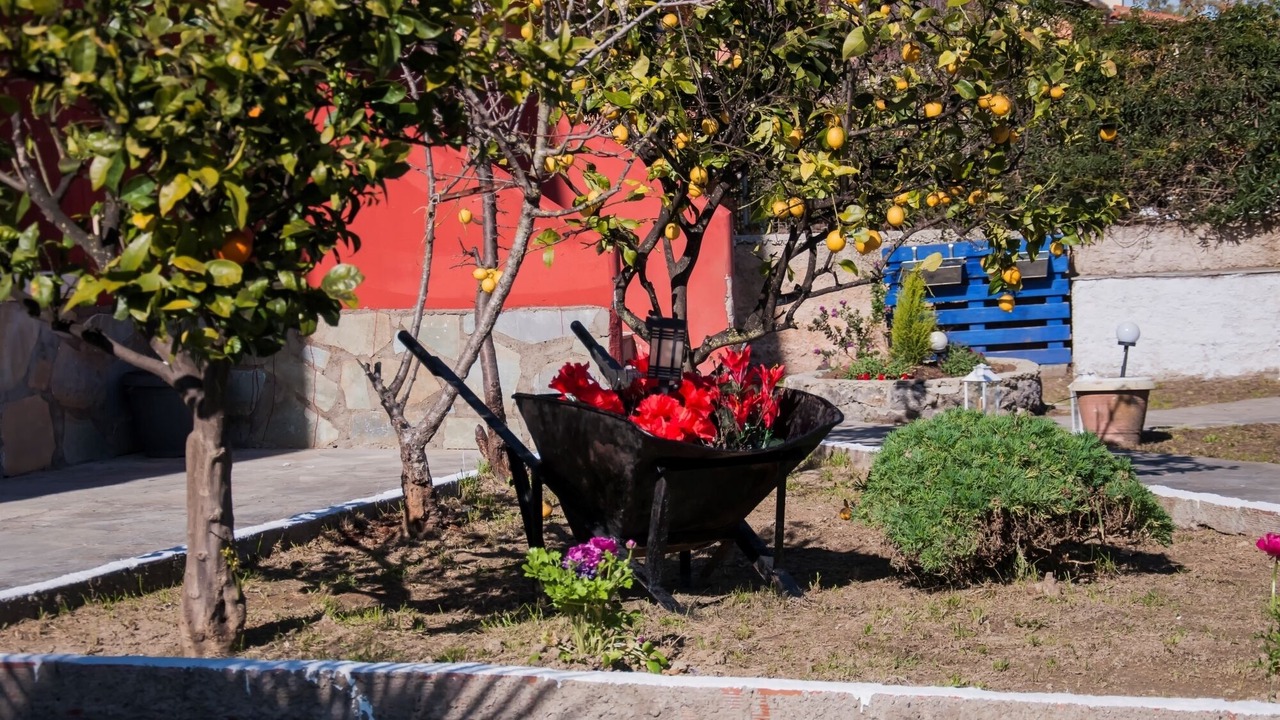 Photo of Outdoor in Corfu Town