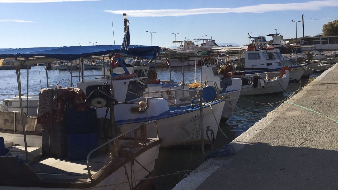 Photo of Others in Neapoli