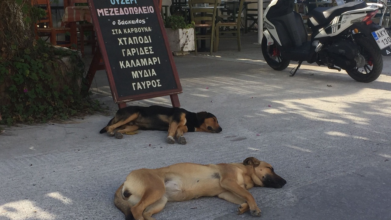 Photo of Others in Neapoli