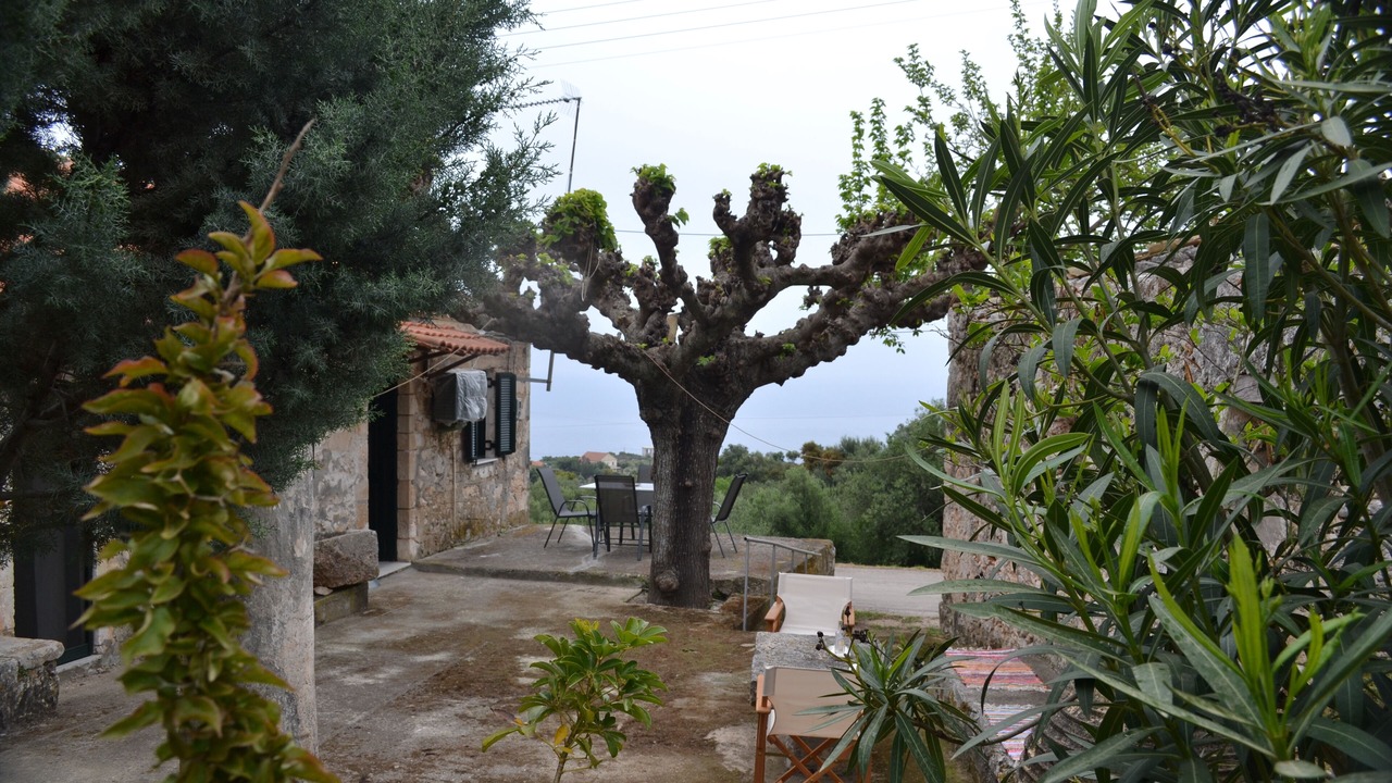 Photo of Outdoor in Korithi