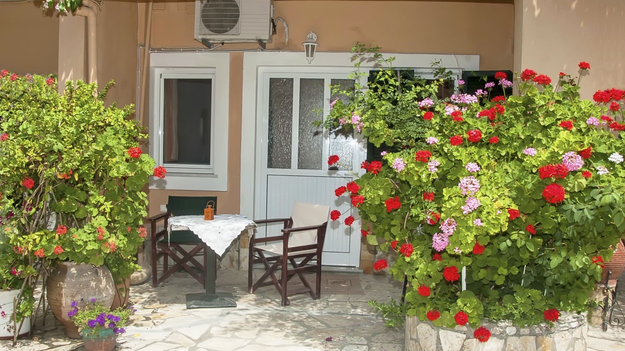 Photo of Others in Parelia