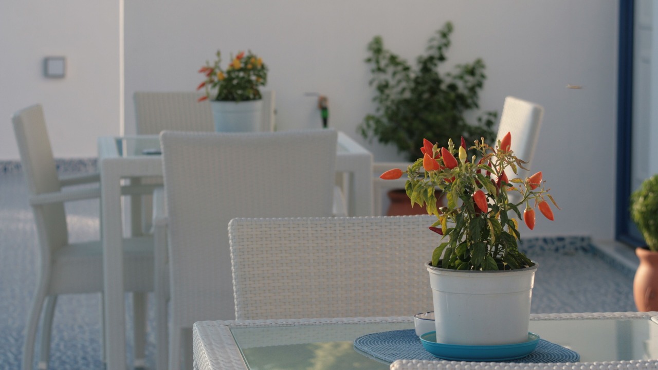 Photo of Outdoor in Stegna