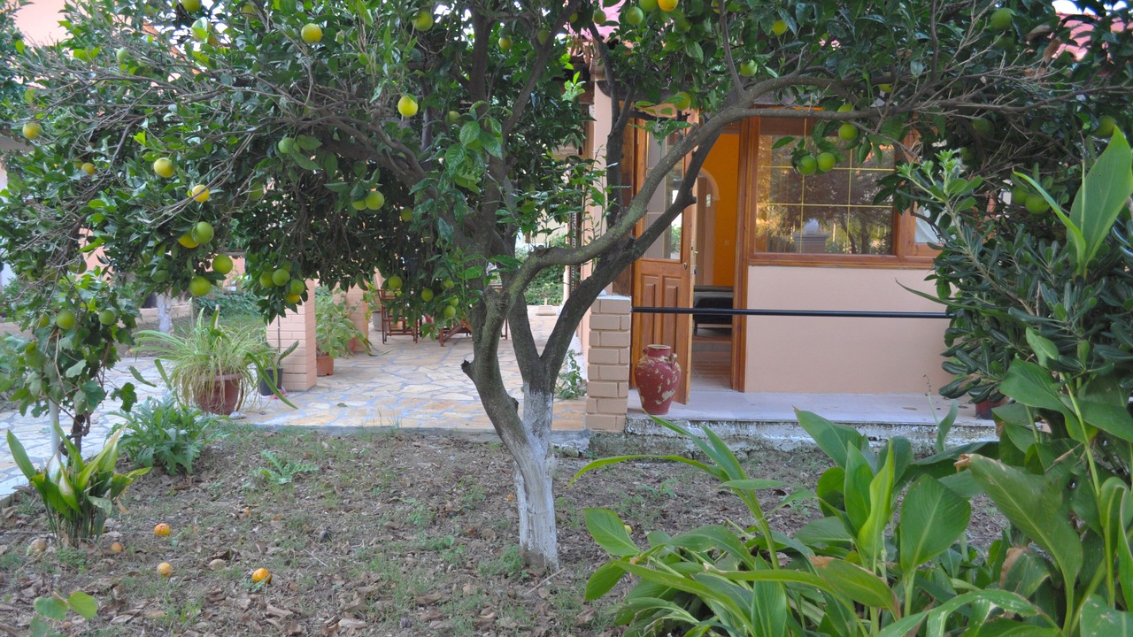 Photo of Outdoor in Agios Gordios
