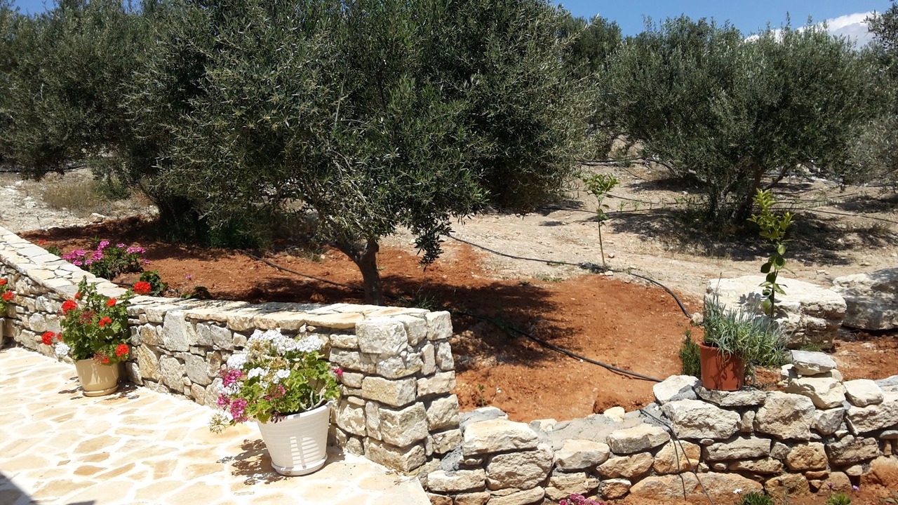 Photo of Outdoor in Kamilari