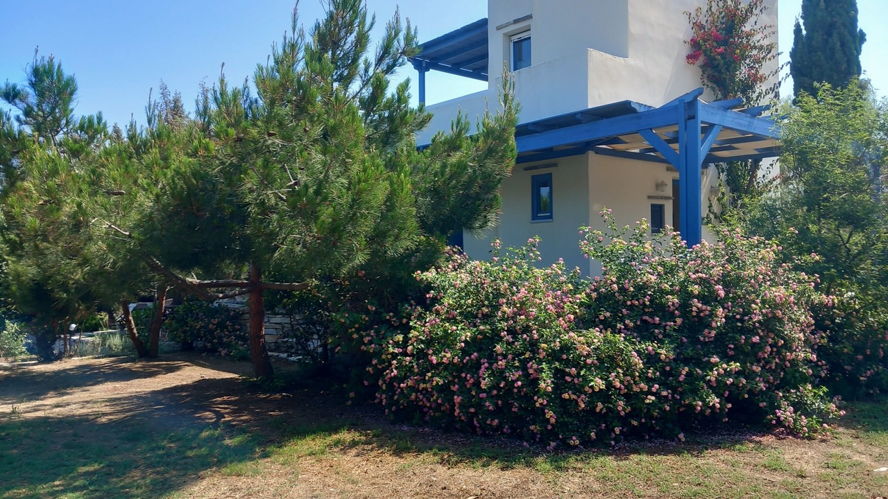 Photo of Outdoor in Agios Prokopios