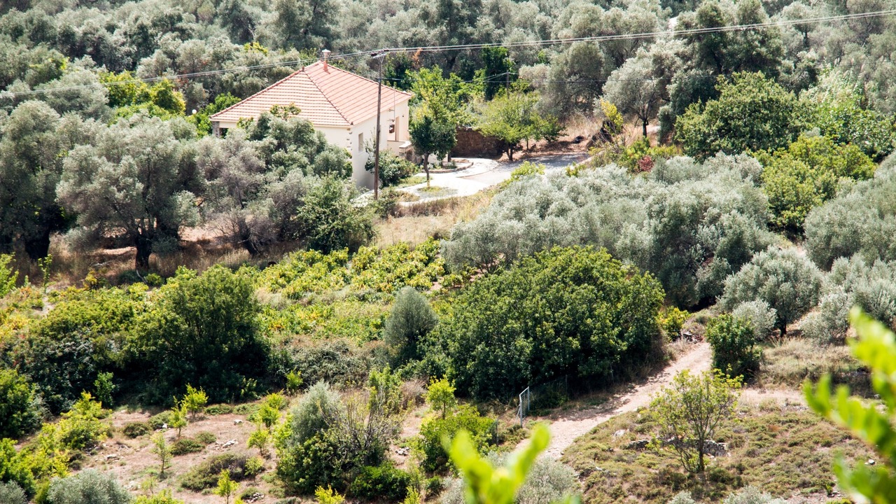 Photo of Outdoor in Milia