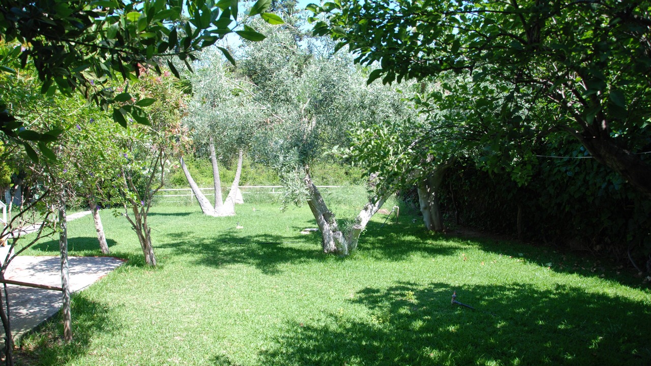 Photo of Outdoor in Nea Makri