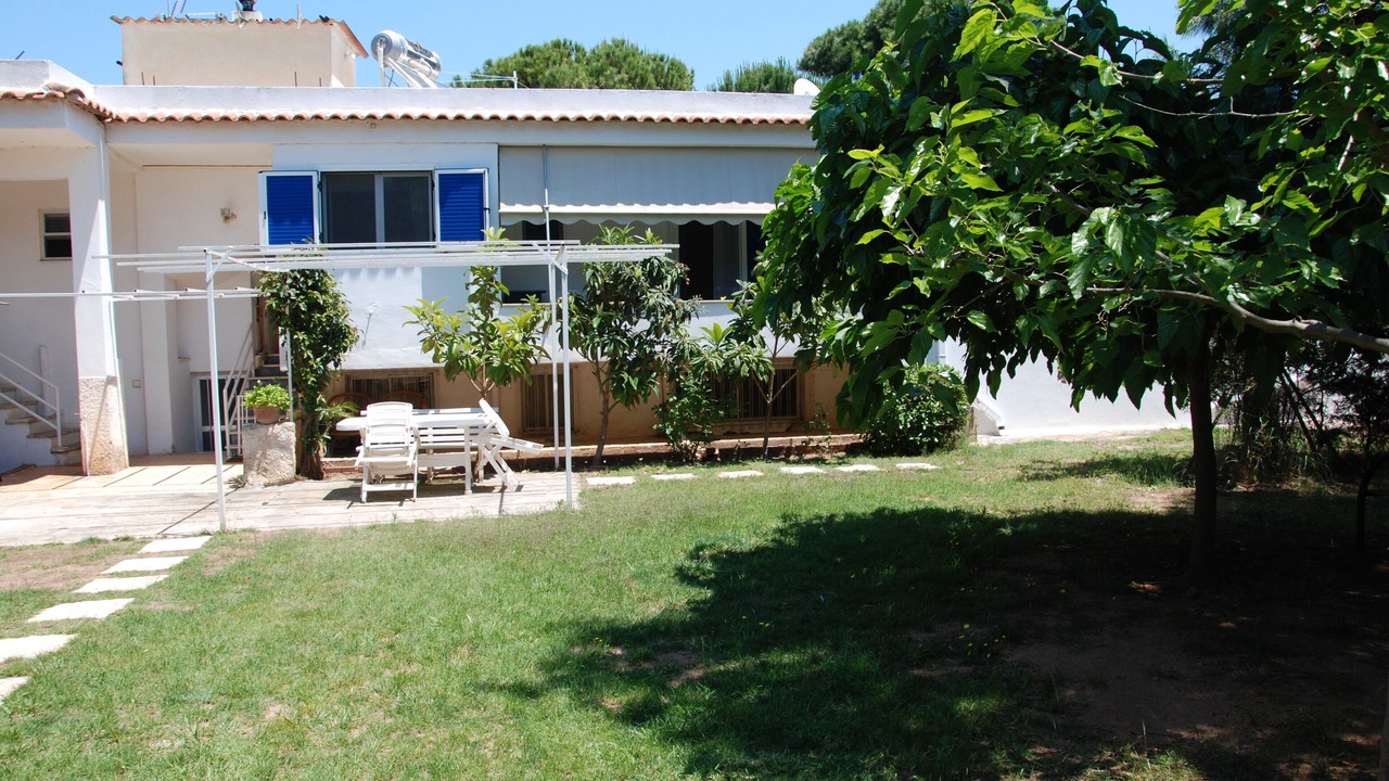 Photo of Outdoor in Nea Makri
