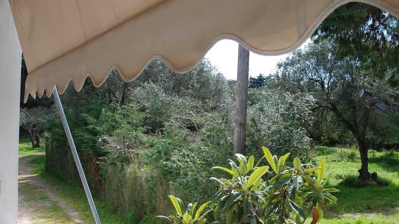 Photo of Outdoor in Nea Makri