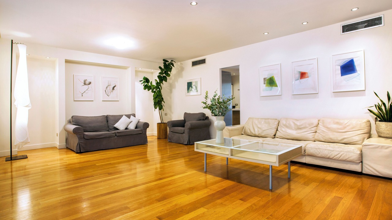 Photo of Livingroom in Thissio