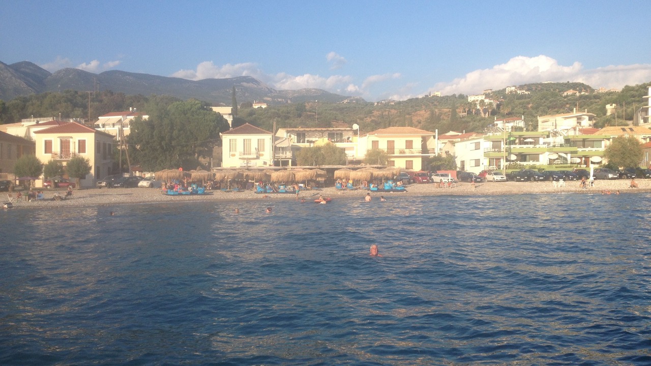 Photo of Others in Diasella