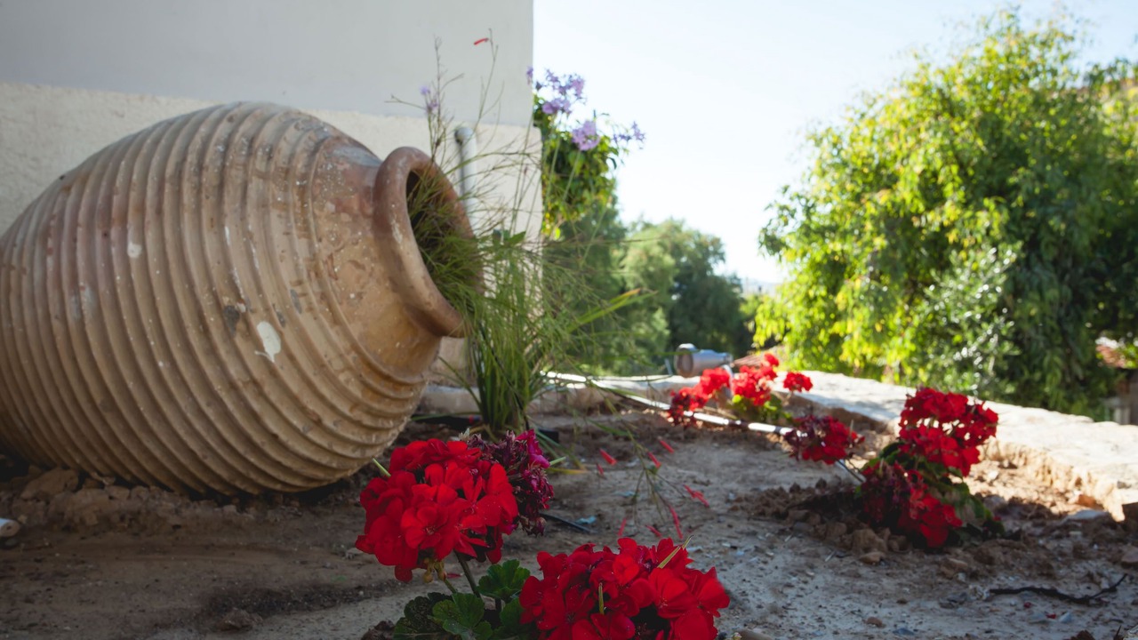 Photo of Outdoor in Daratsos