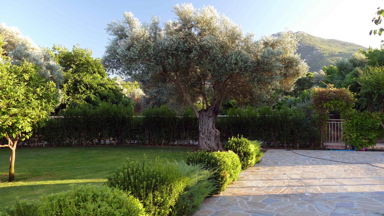 Photo of Outdoor in Marathon