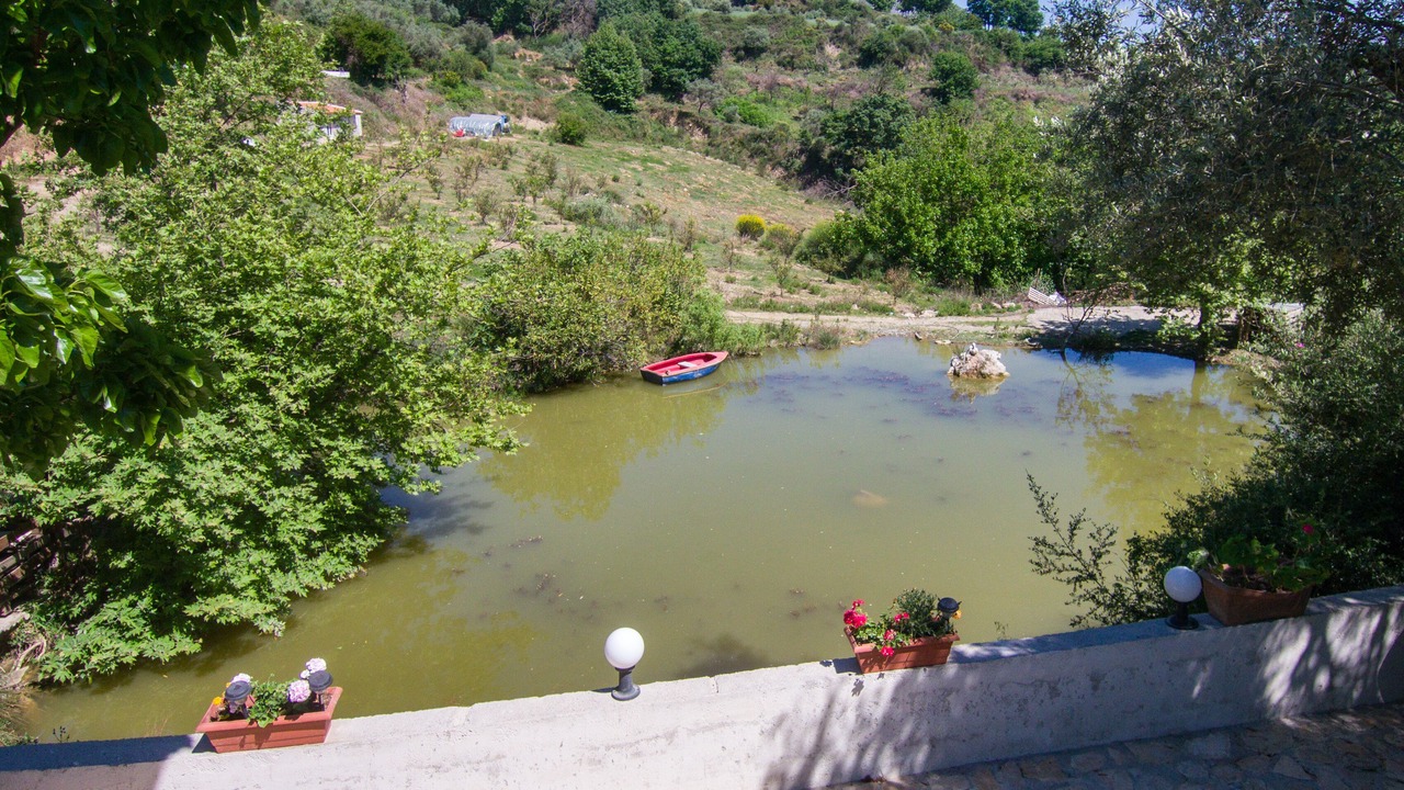Photo of Others in Monopari