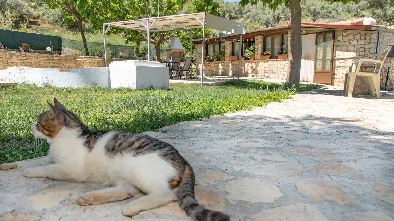 Photo of Outdoor in Monopari