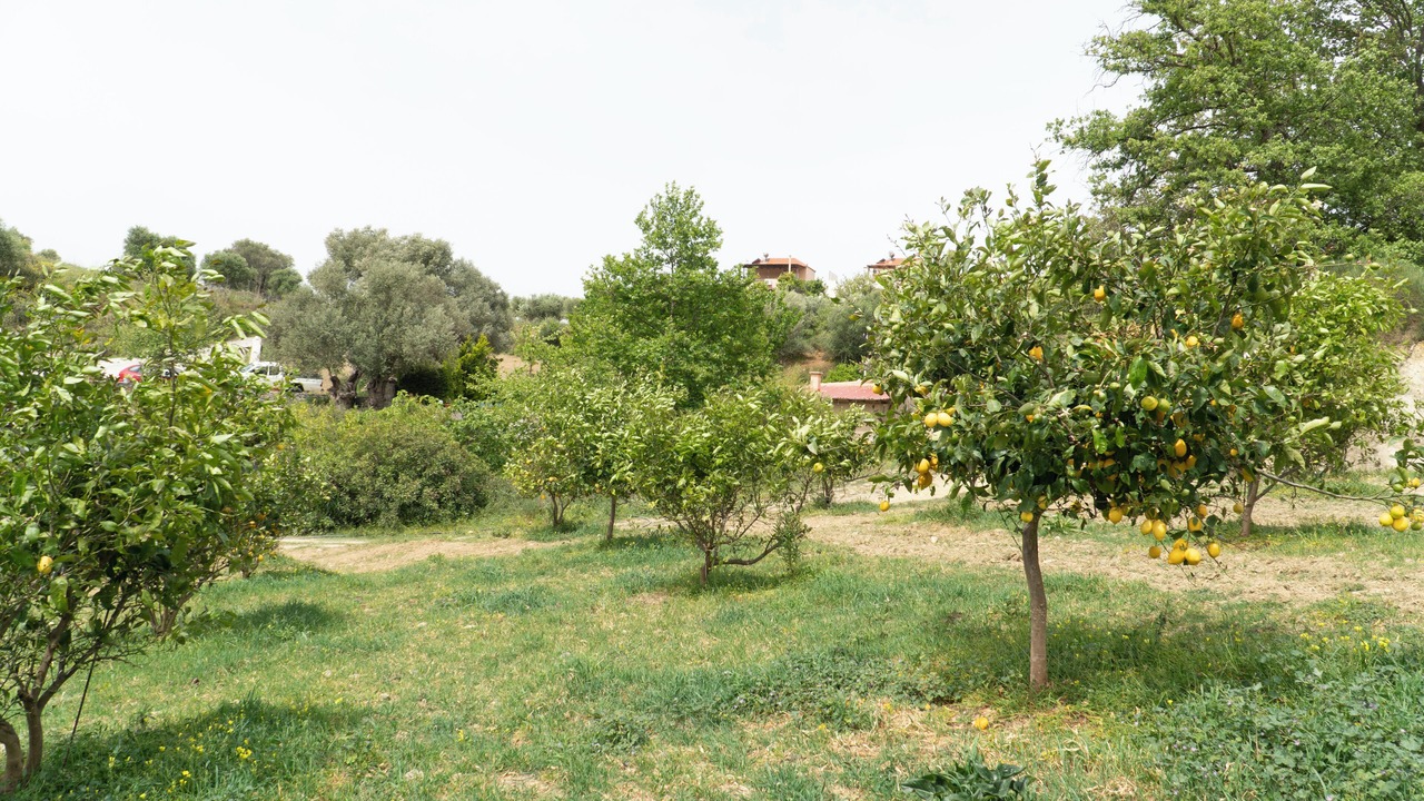 Photo of Outdoor in Monopari