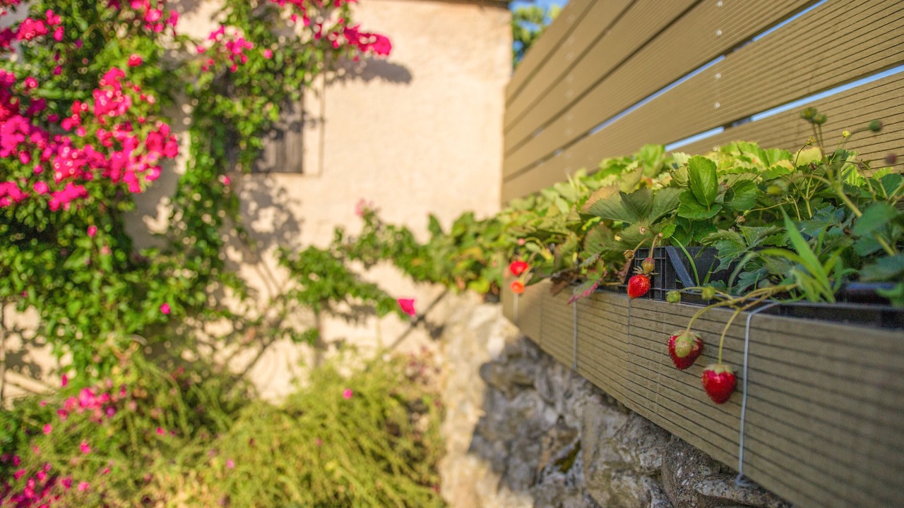 Photo of Outdoor in Apokoronas