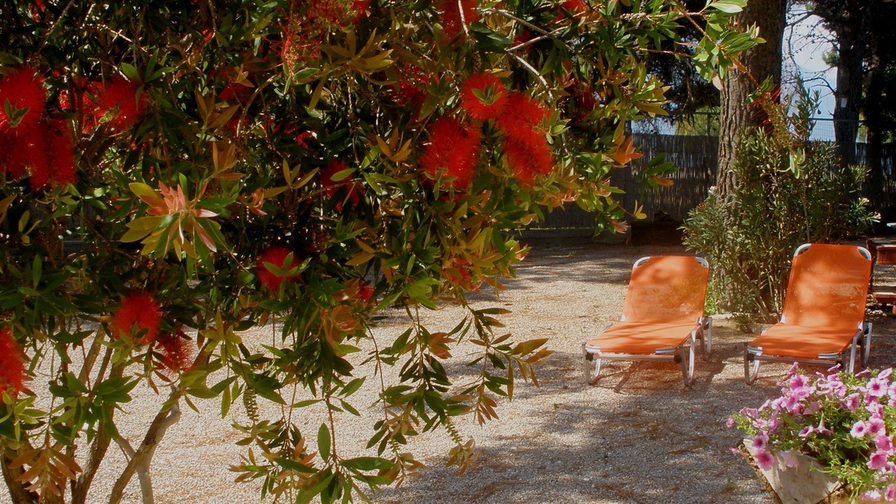 Photo of Outdoor in Psatha