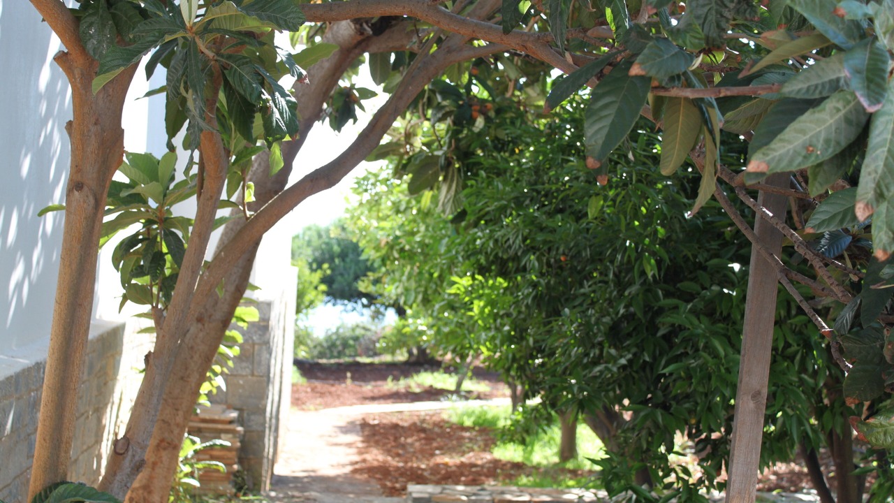 Photo of Outdoor in Ammoudara