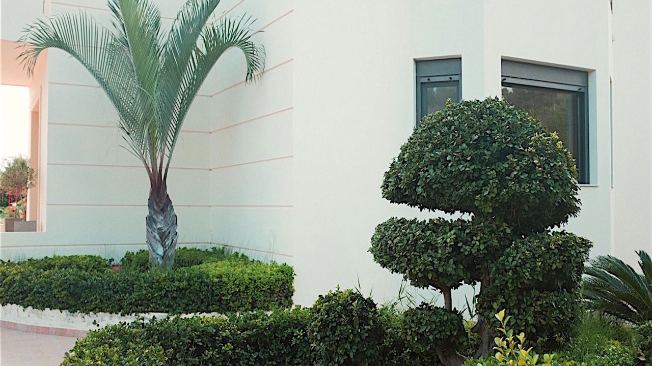 Photo of Outdoor in Asgourou